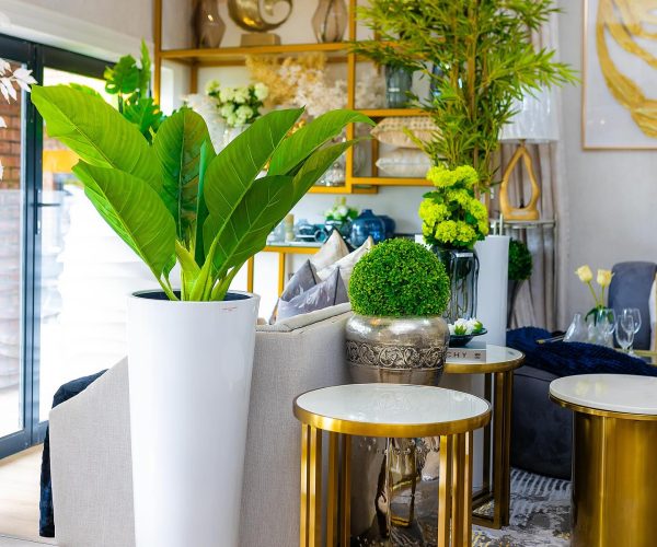 429974033_18414618436042930_893802147709378938_n